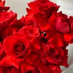 Французские розы Нина — изображение 4